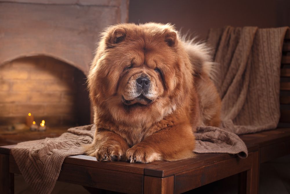 Editorial: February 2, 2024